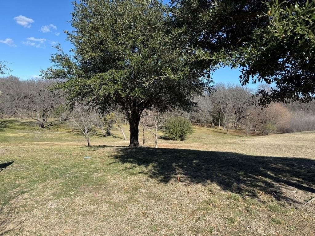 1.6 acres in Ellis County gallery image 3