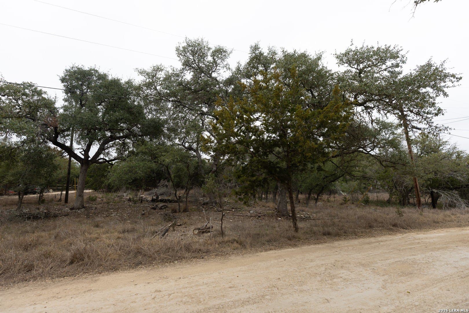 0.25 acres in Comal County gallery image 2