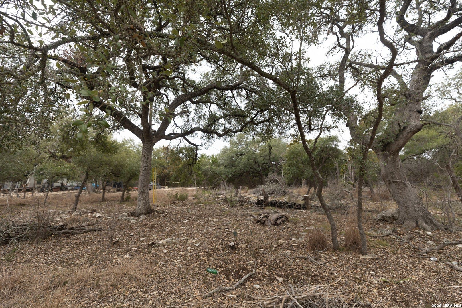 0.25 acres in Comal County gallery image 4