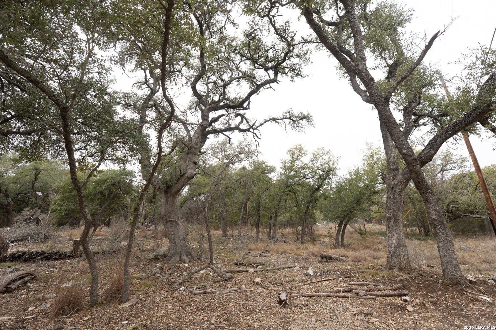 0.25 acres in Comal County featured view