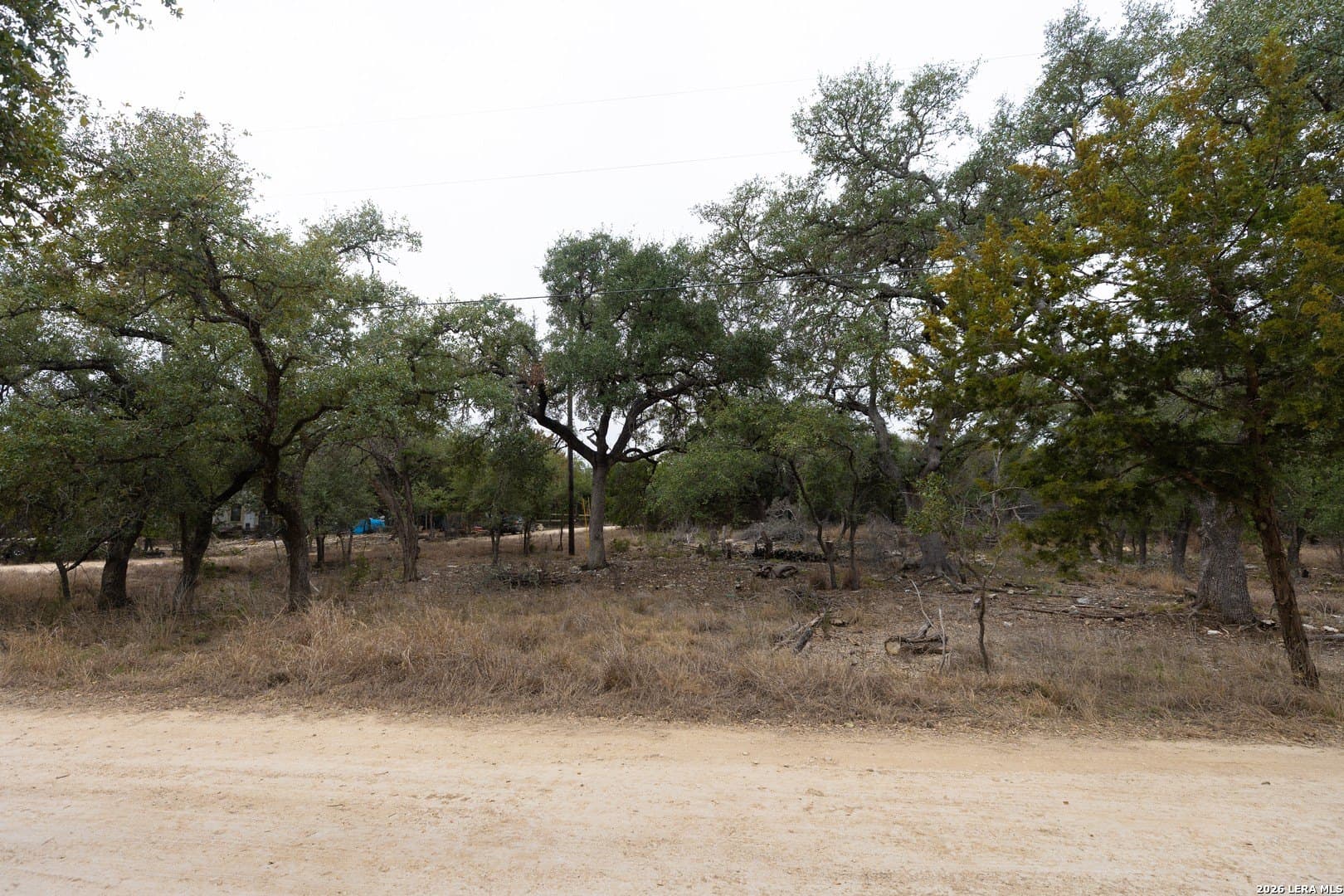0.25 acres in Comal County gallery image 3