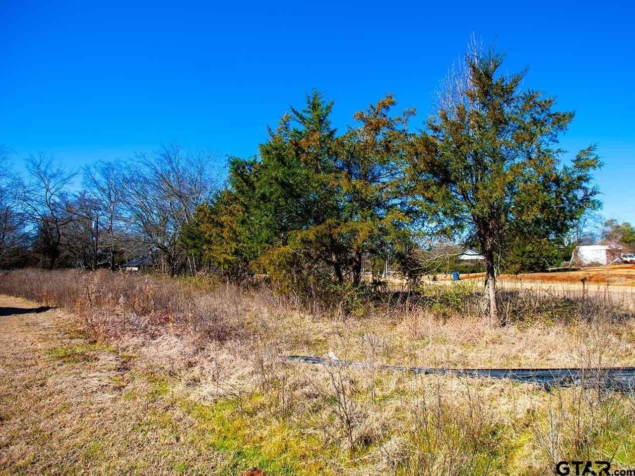 0.34 acres in Smith County - photo 11