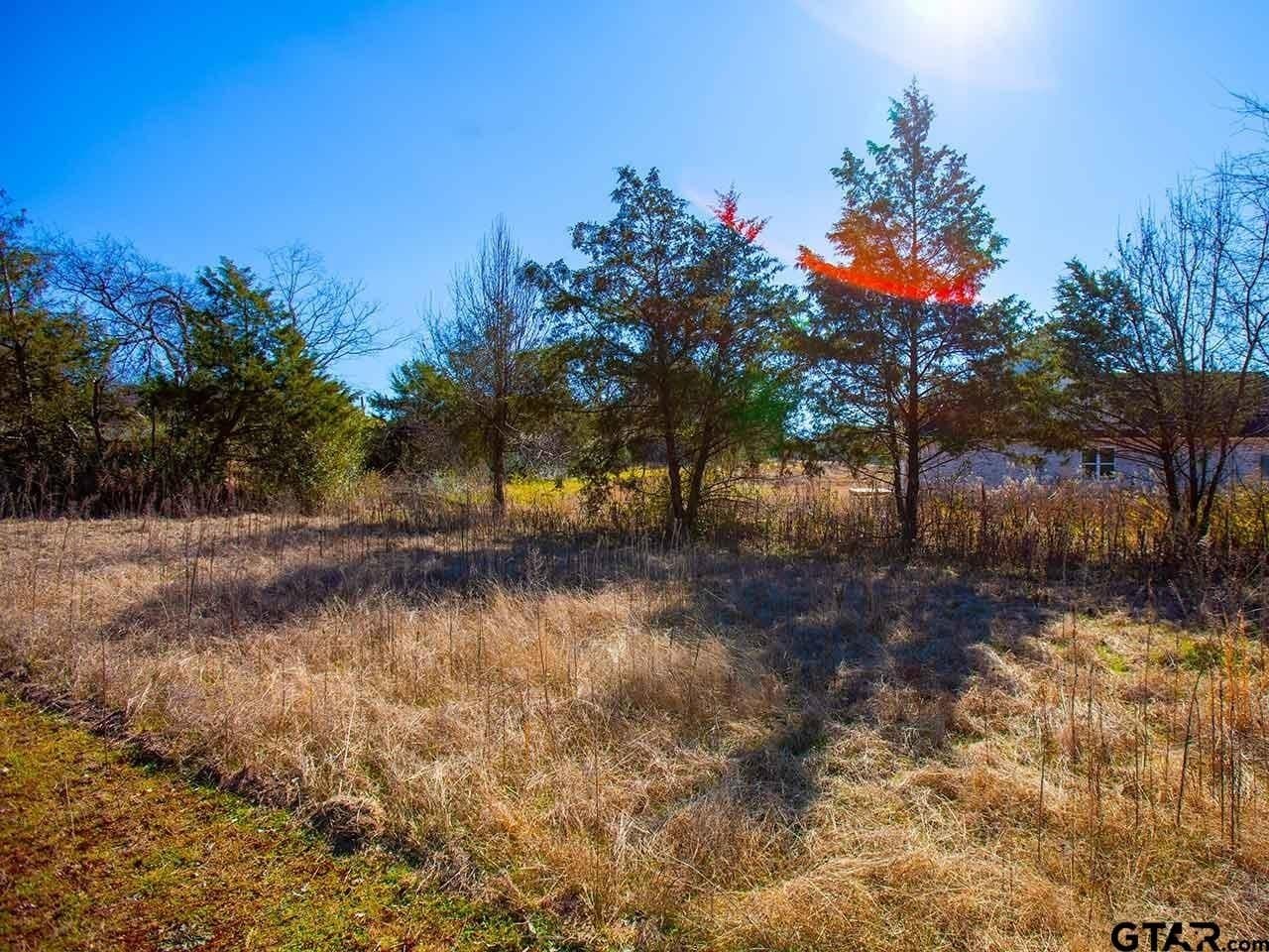 0.34 acres in Smith County - photo 8