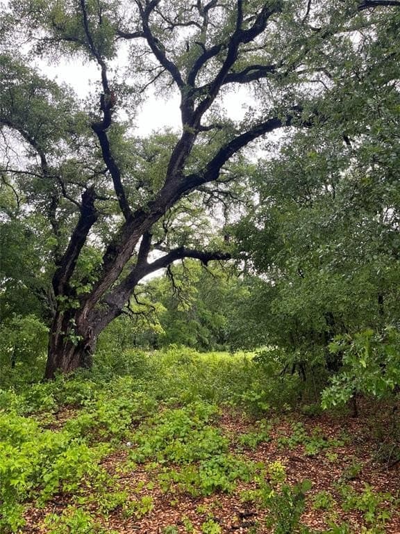 20 acres in Bosque County gallery image 3