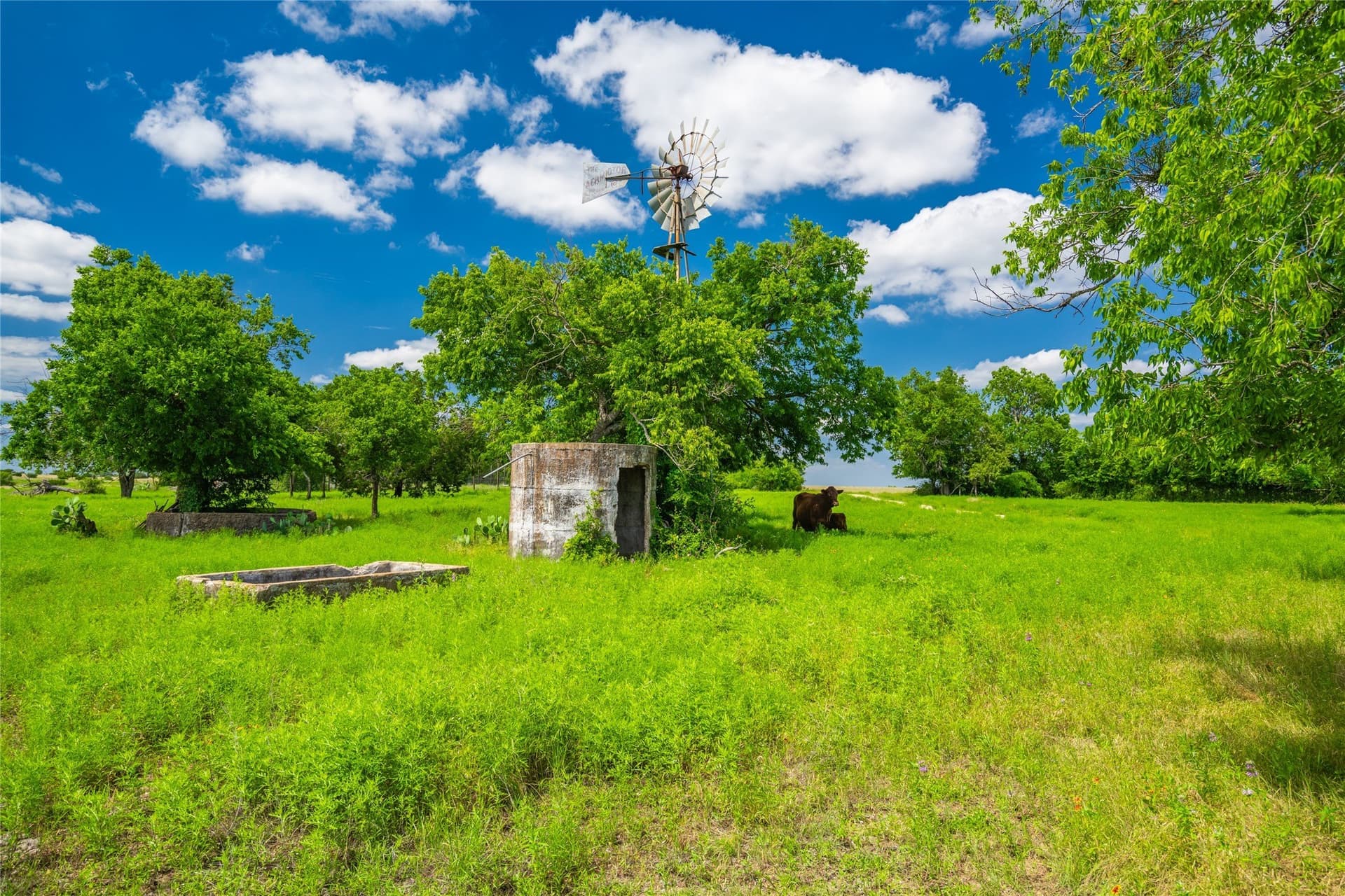 161 acres in Burnet County - photo 15