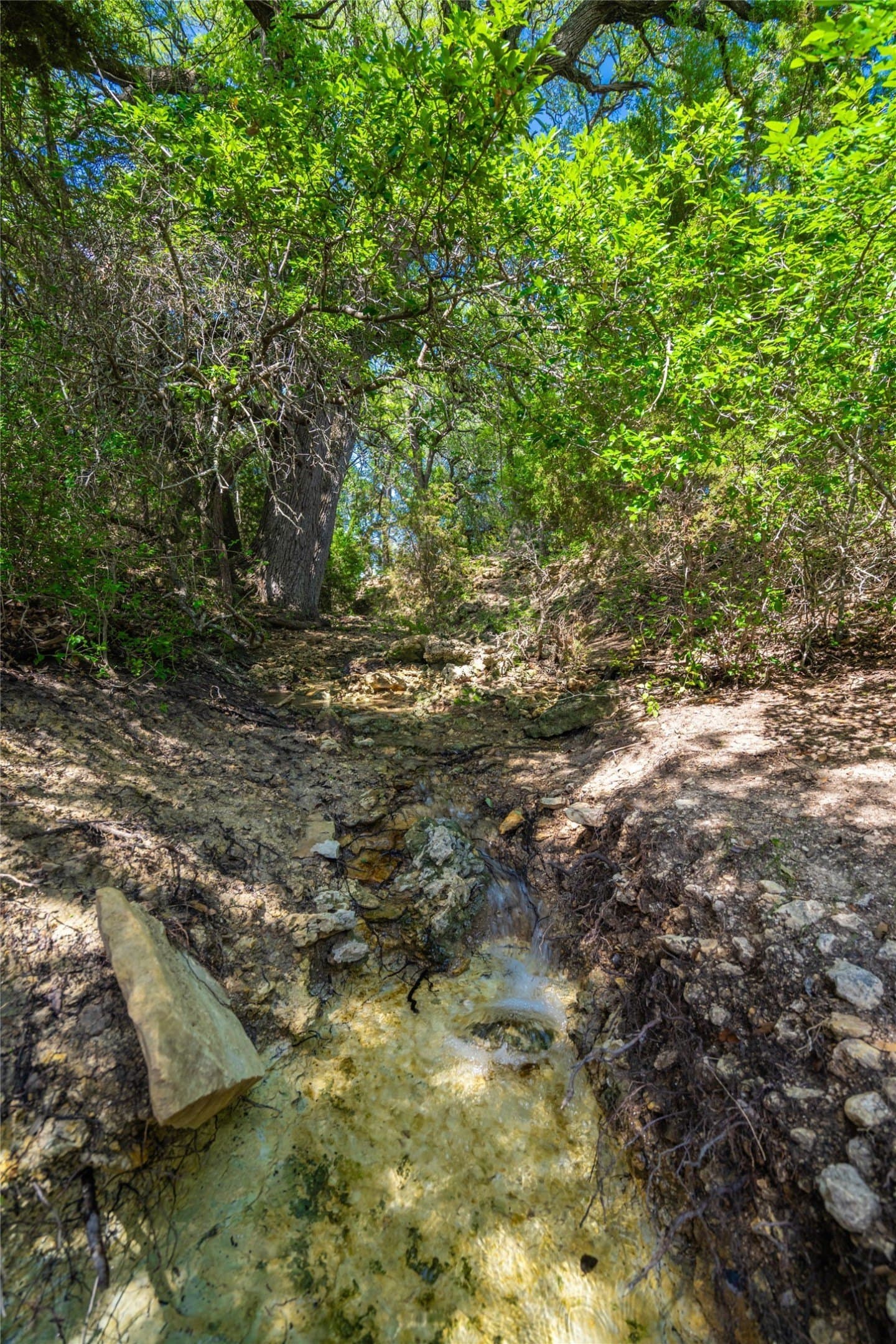 161 acres in Burnet County - photo 8