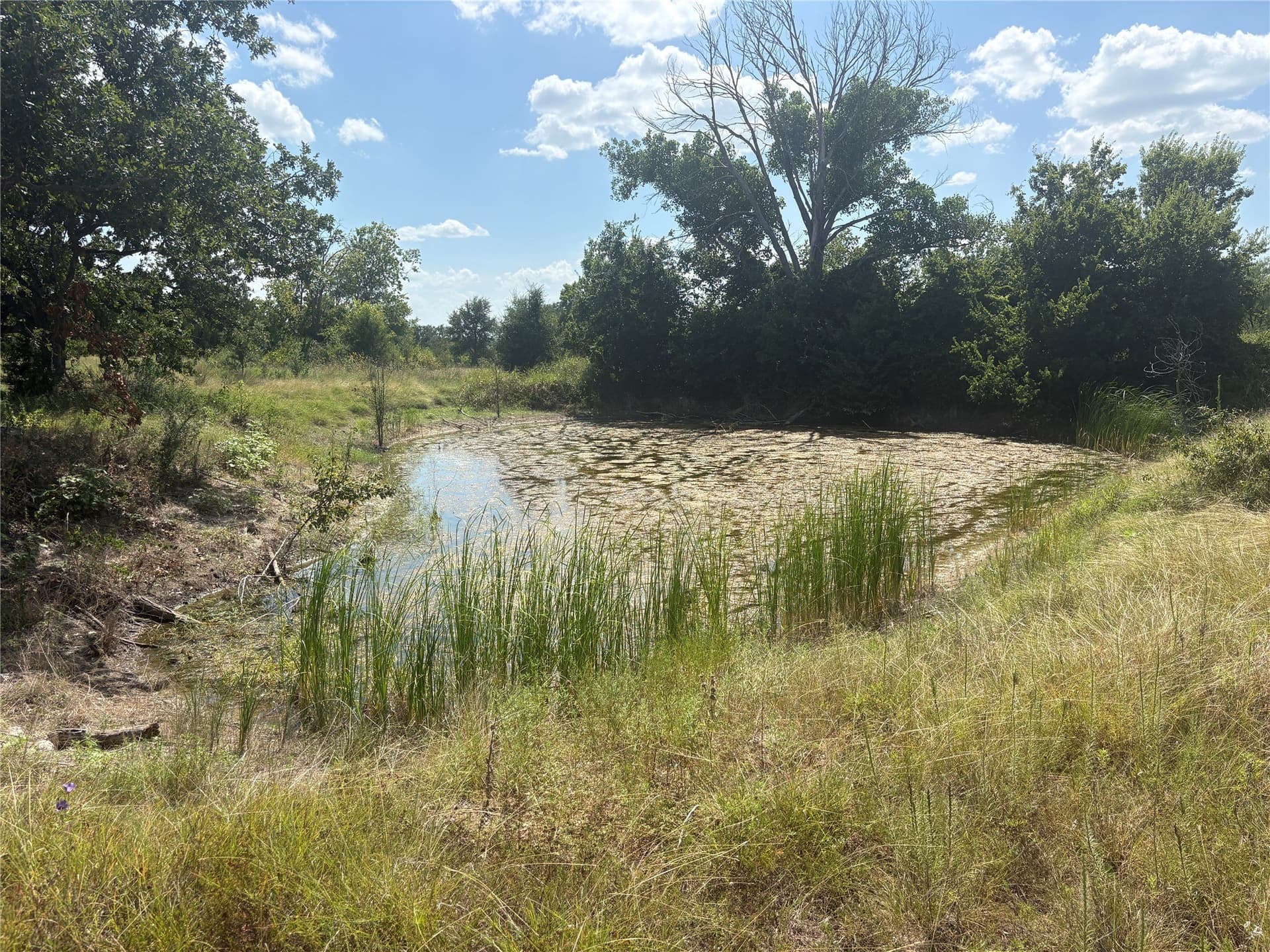 8.15 acres in Hamilton County - photo 15