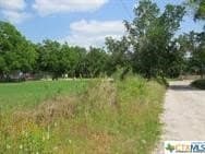 0.64 acres in Milam County gallery image 4