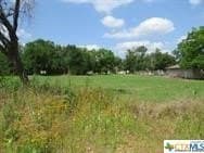 0.64 acres in Milam County gallery image 3