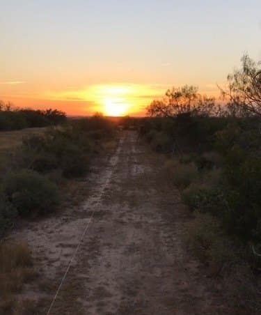 11.57 acres in Live Oak County - photo 14