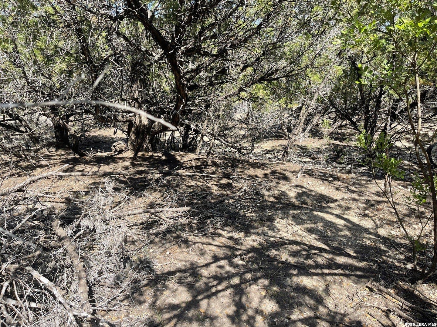 0.28 acres in Bandera County - photo 15