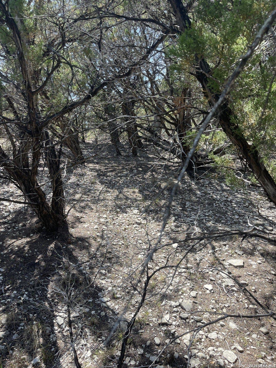 0.28 acres in Bandera County - photo 12