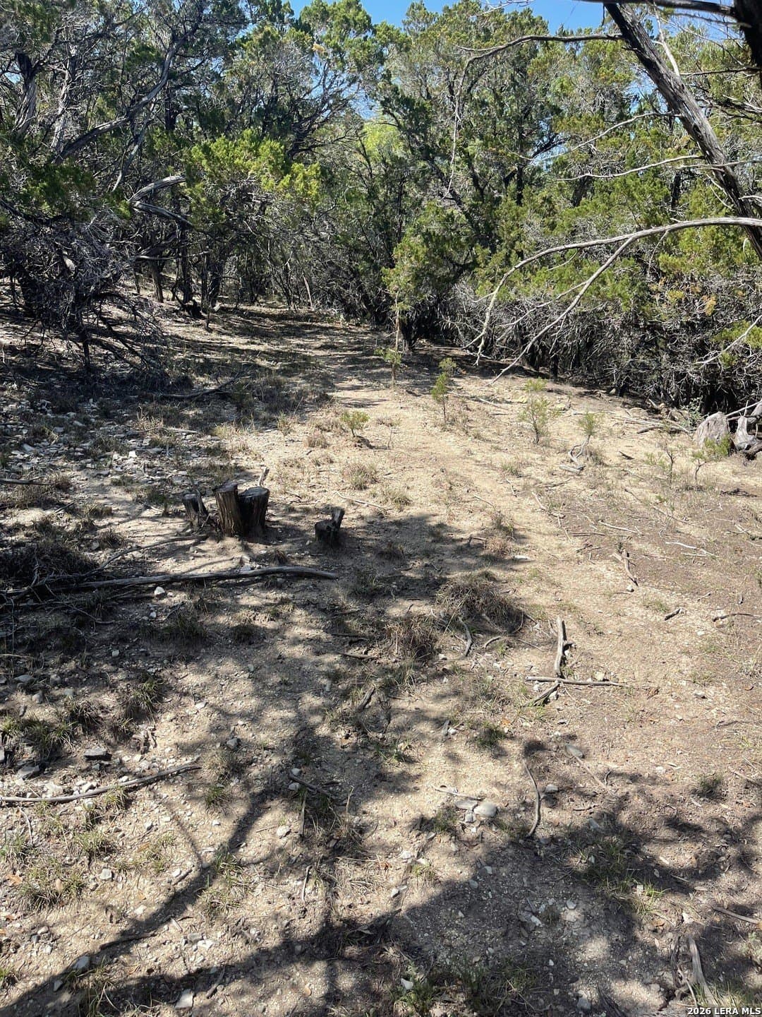 0.28 acres in Bandera County - photo 9