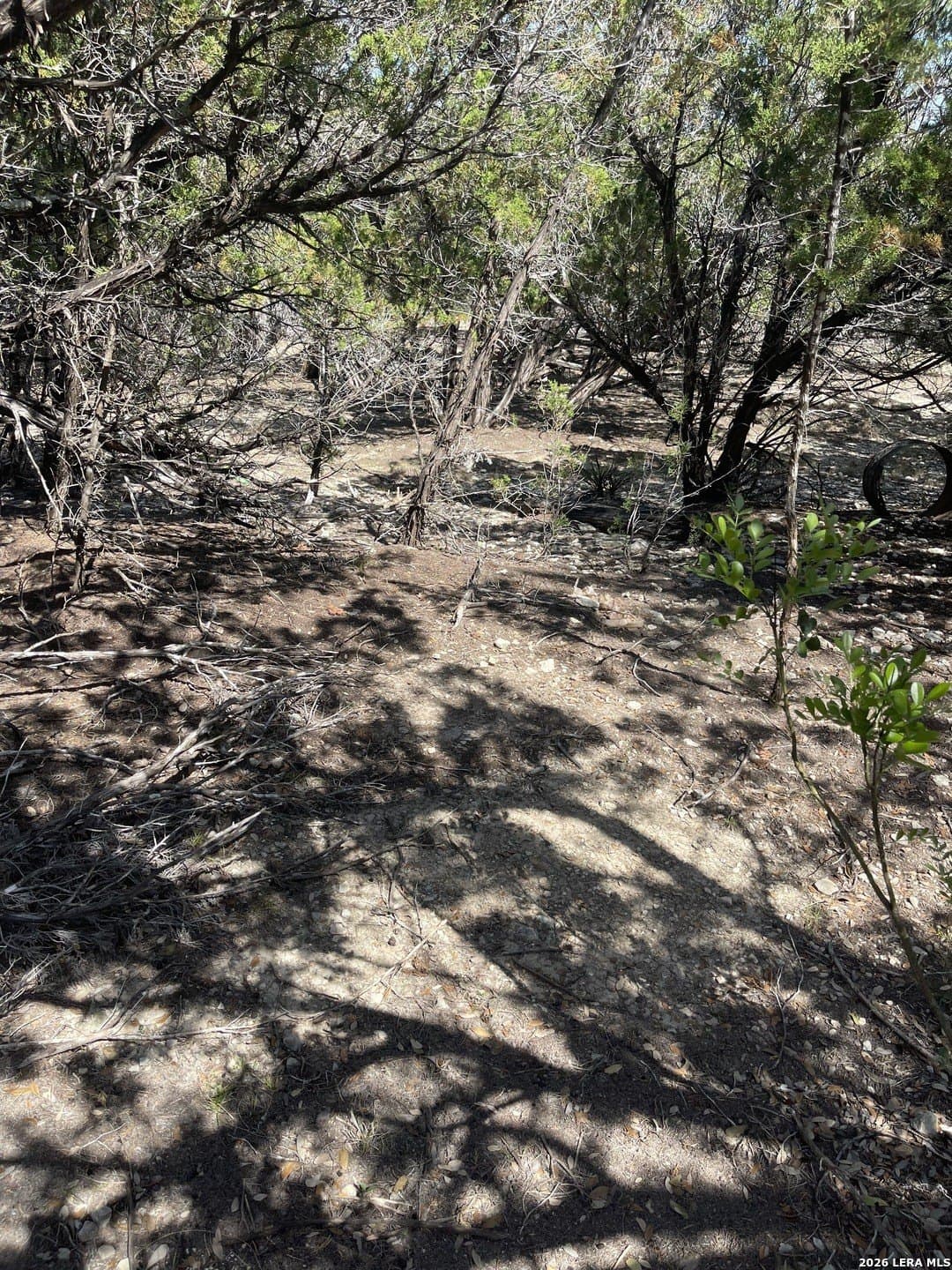 0.28 acres in Bandera County gallery image 4
