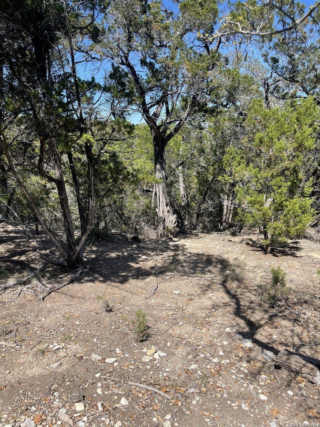 0.28 acres in Bandera County - photo 8