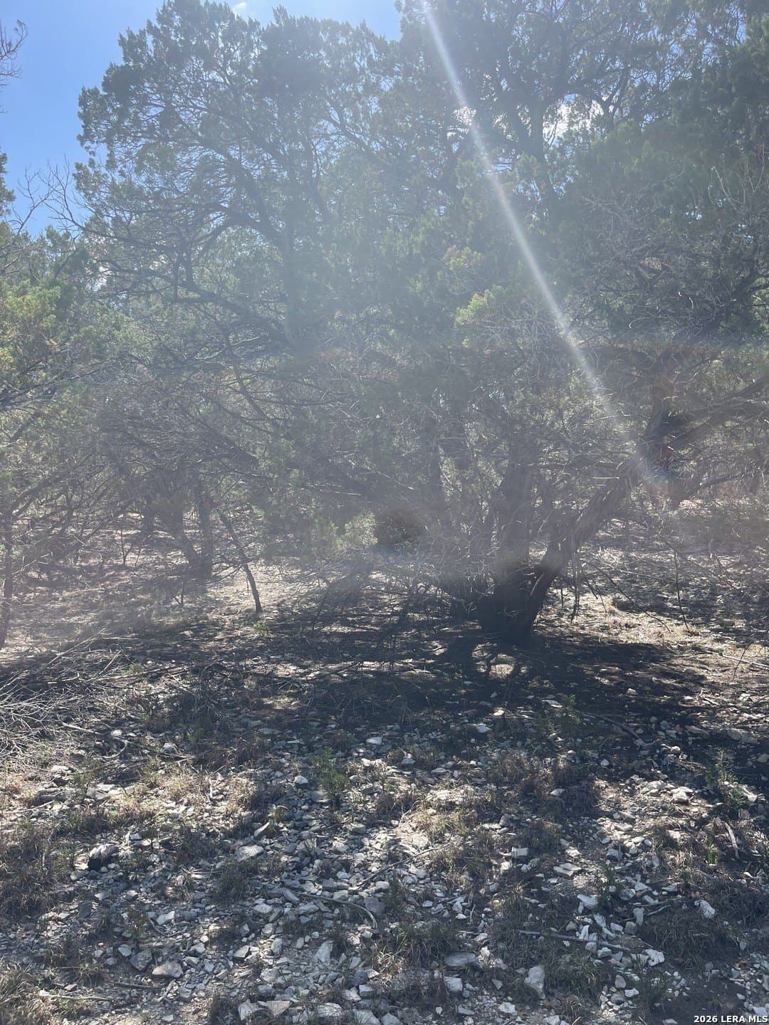 0.28 acres in Bandera County - photo 11
