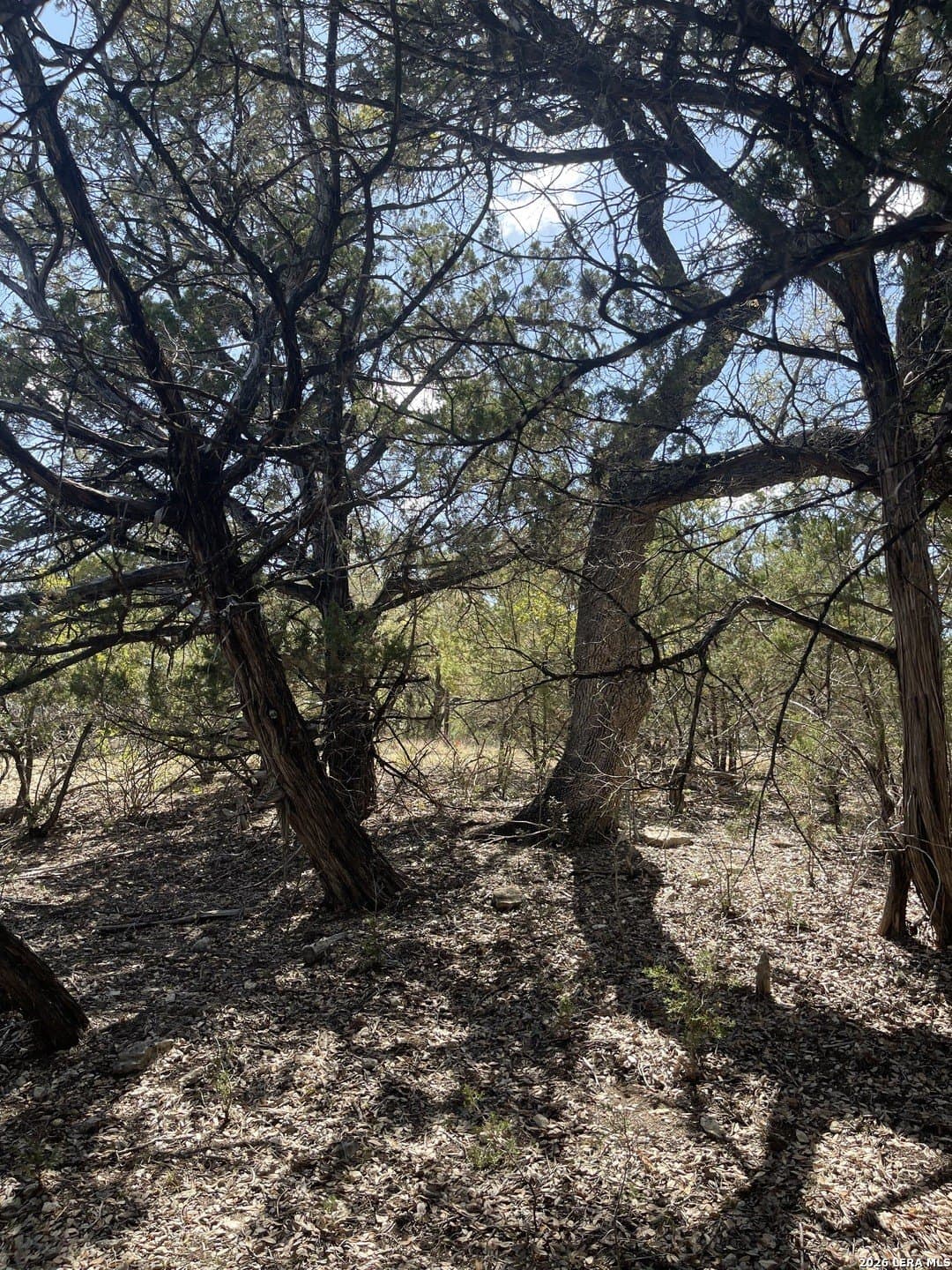 0.28 acres in Bandera County - photo 13