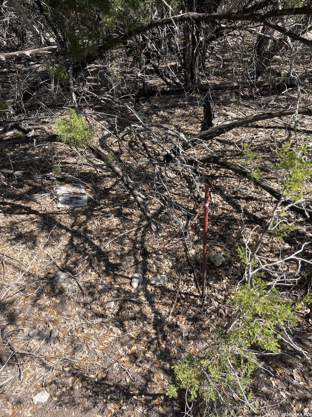 0.28 acres in Bandera County gallery image 3