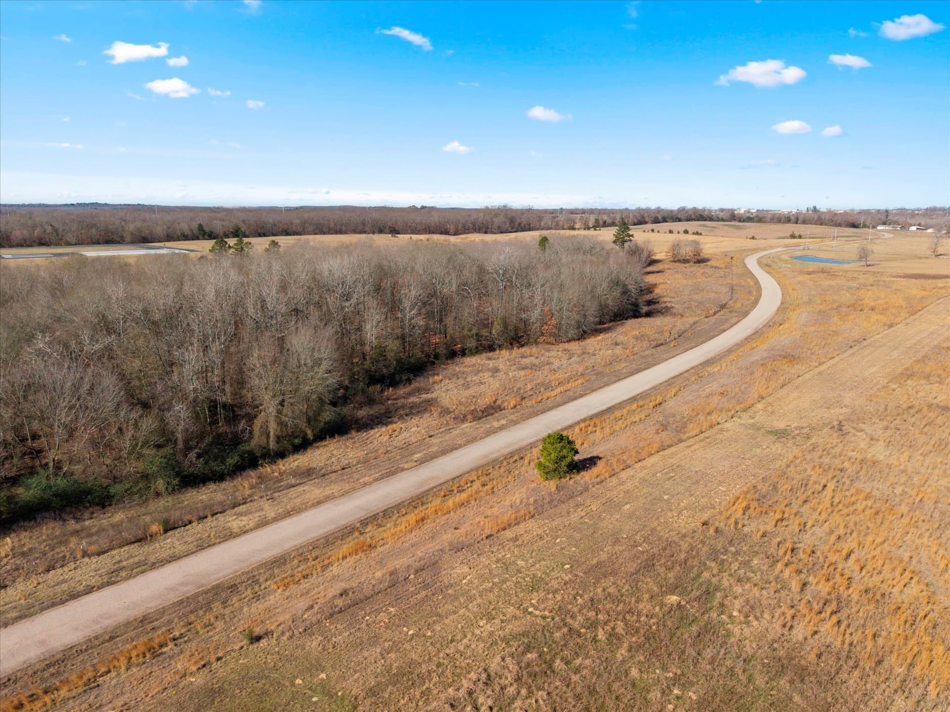 40 acres in Titus County - photo 16