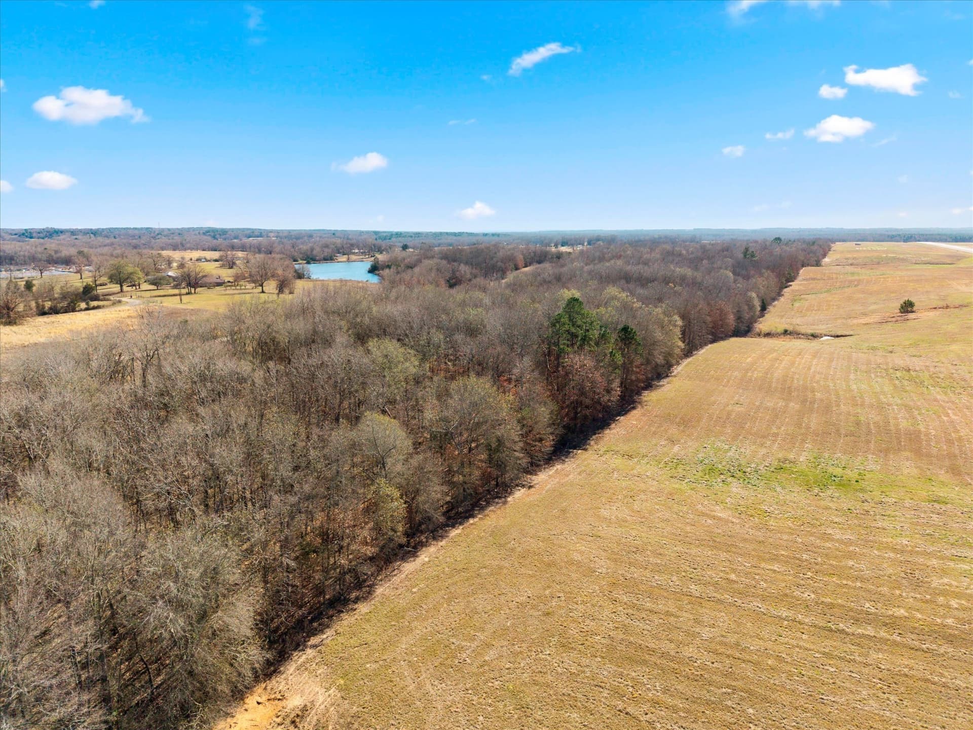 40 acres in Titus County - photo 15
