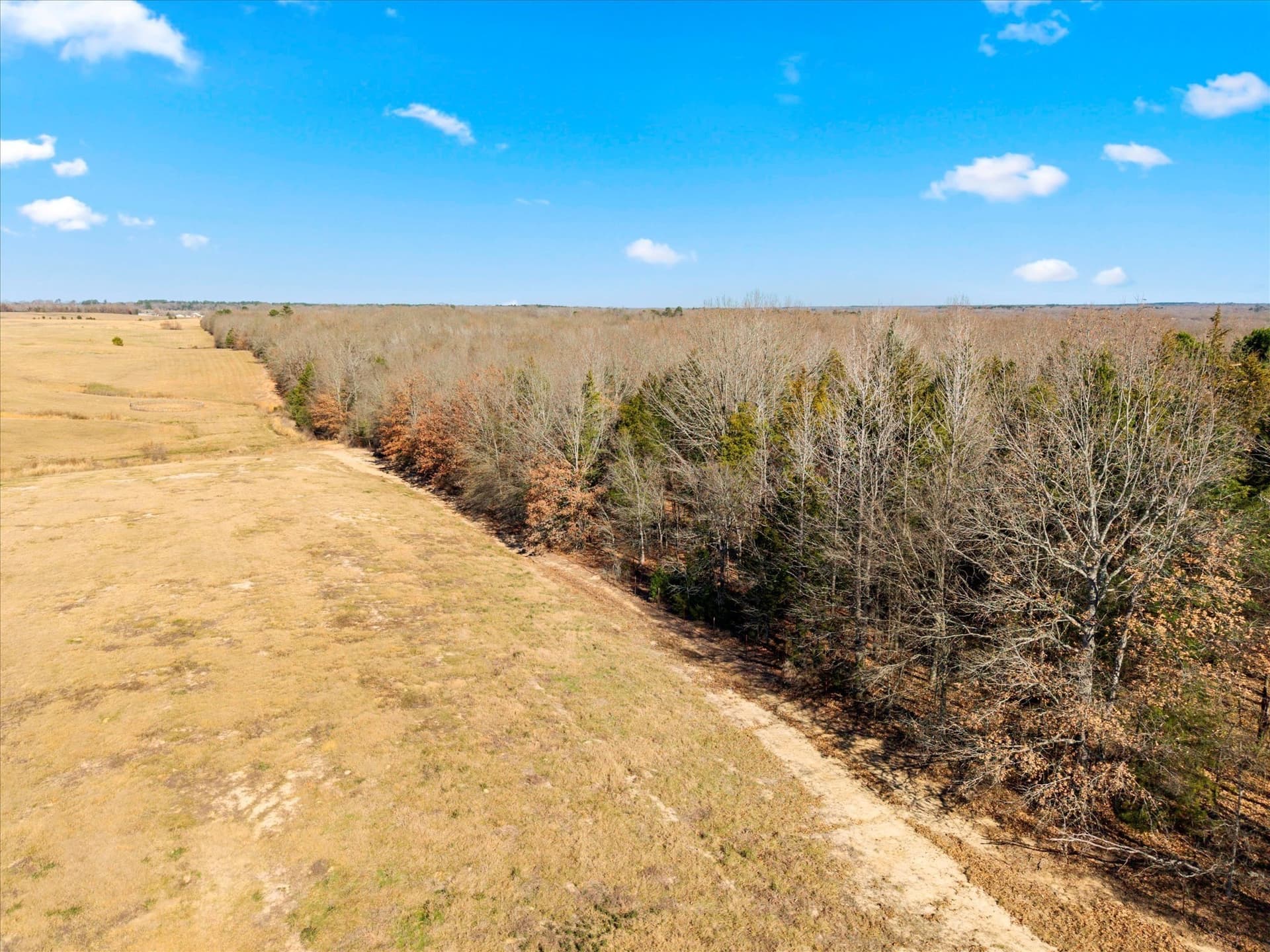 40 acres in Titus County - photo 14