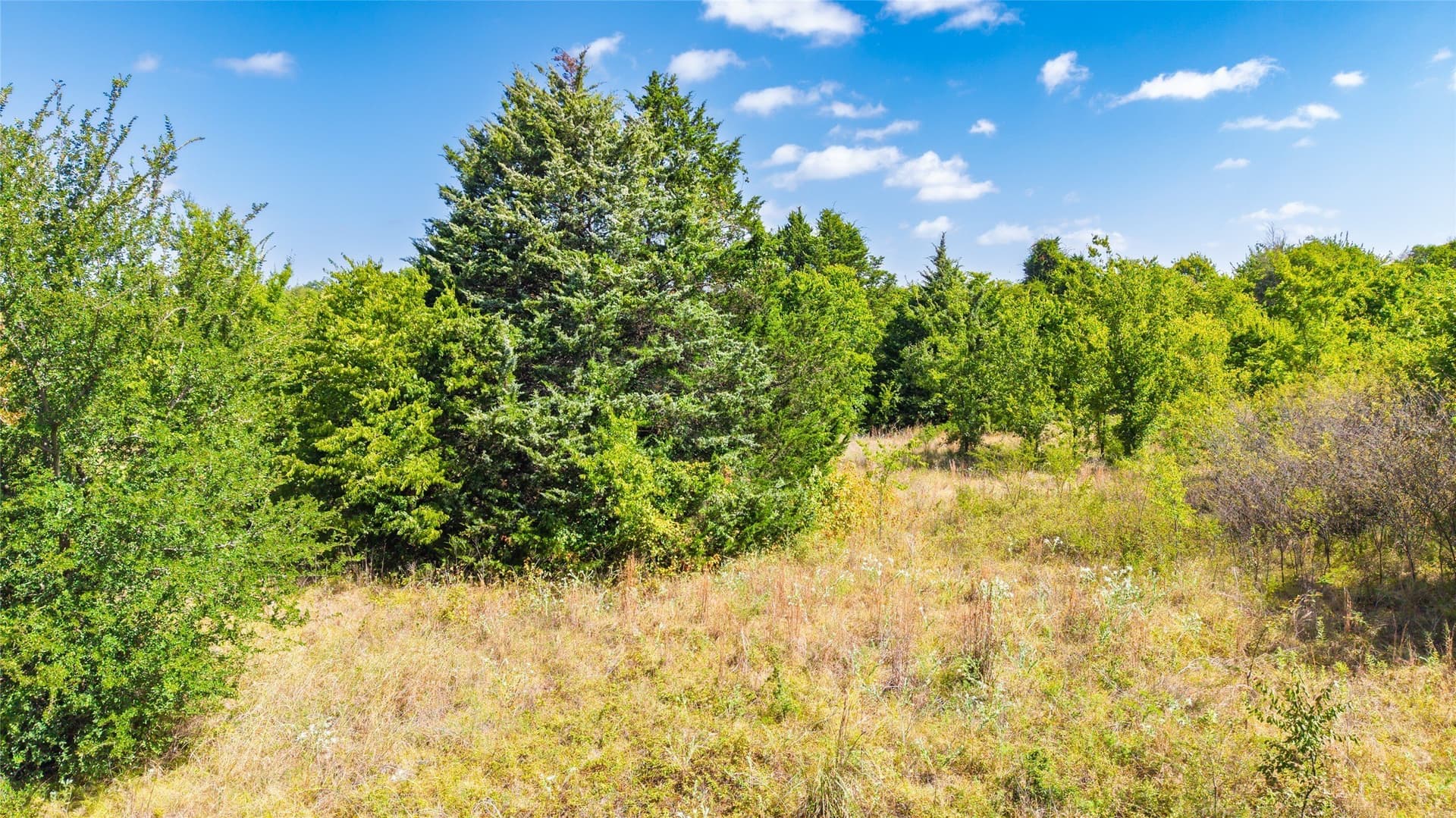 5 acres in Hunt County - photo 5