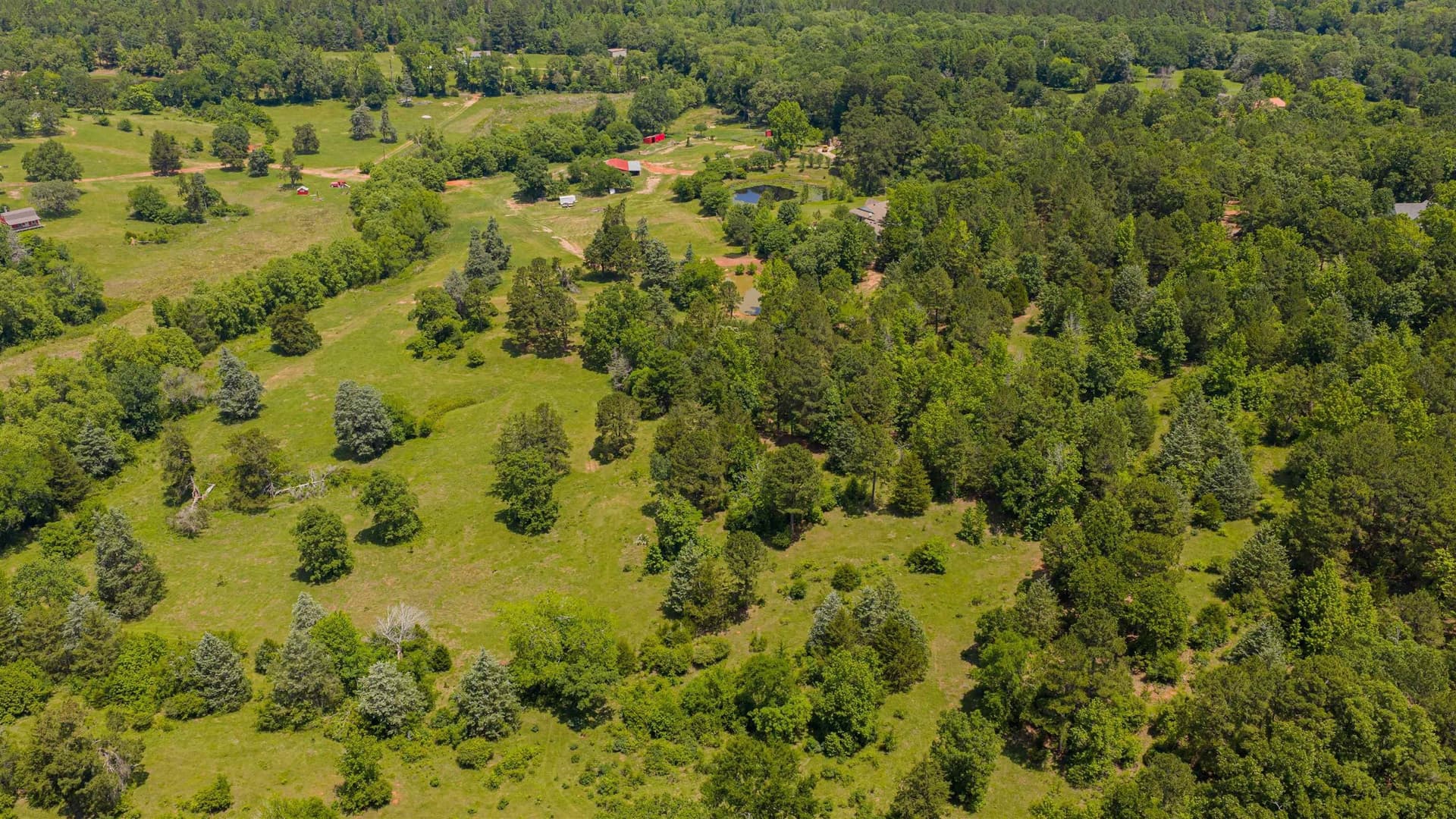 58.67 acres in Upshur County - photo 37