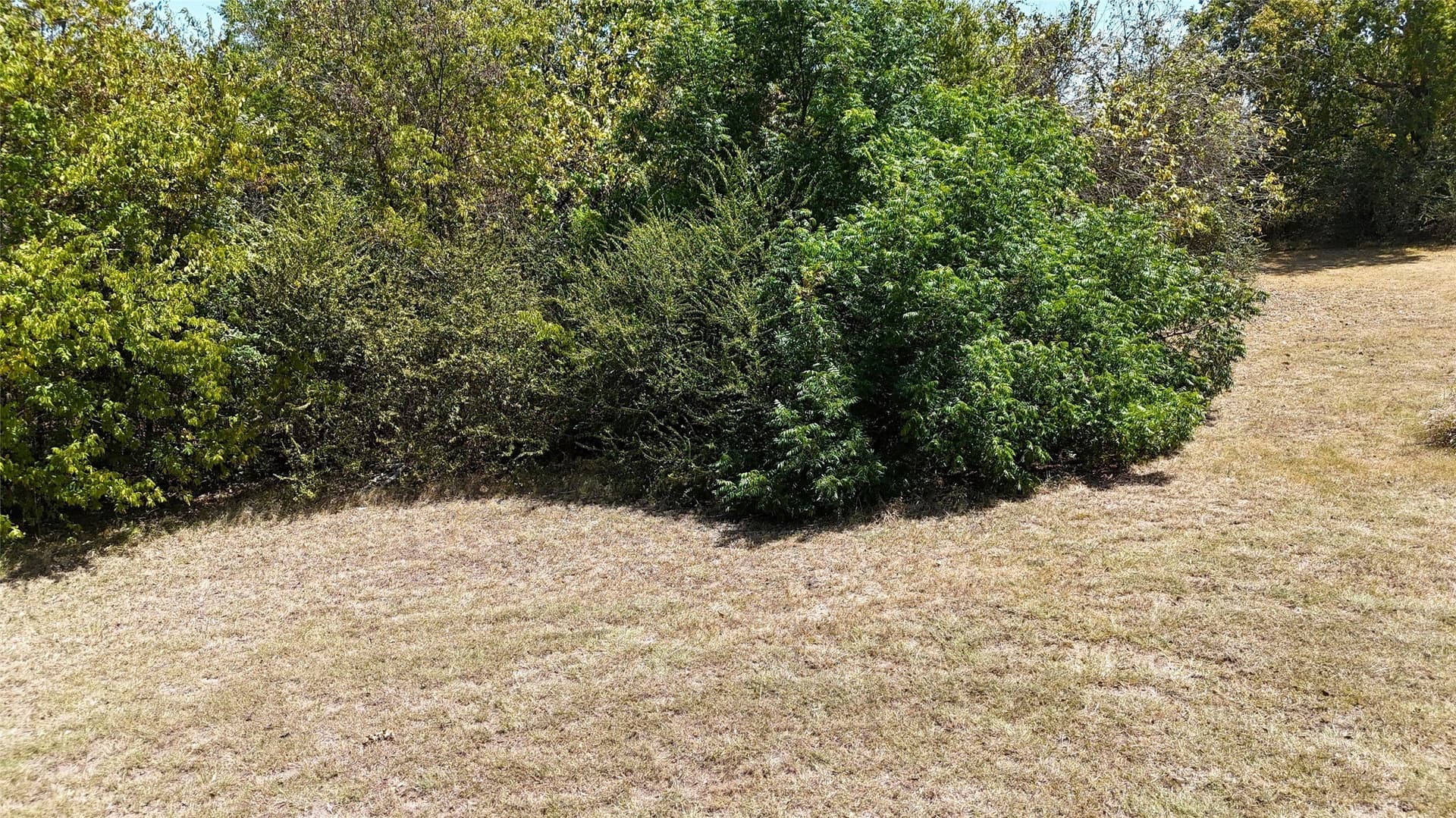 0.44 acres in Hunt County - photo 11
