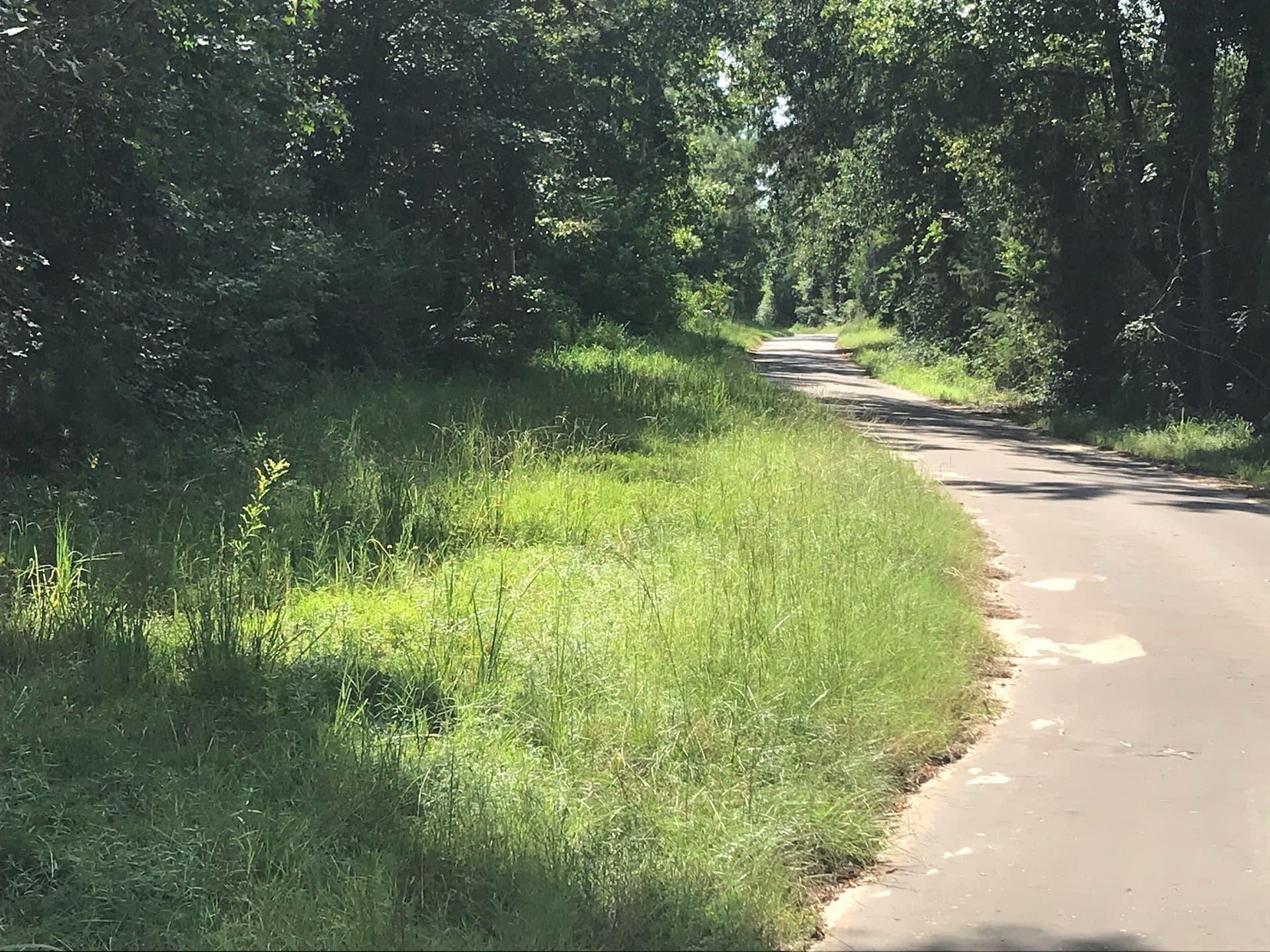 9.59 acres in Cass County gallery image 3