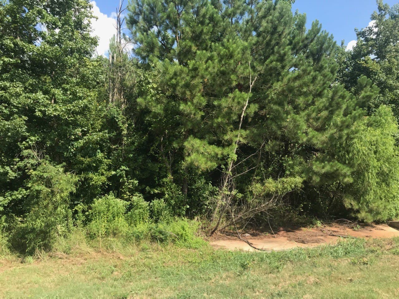 9.59 acres in Cass County gallery image 4