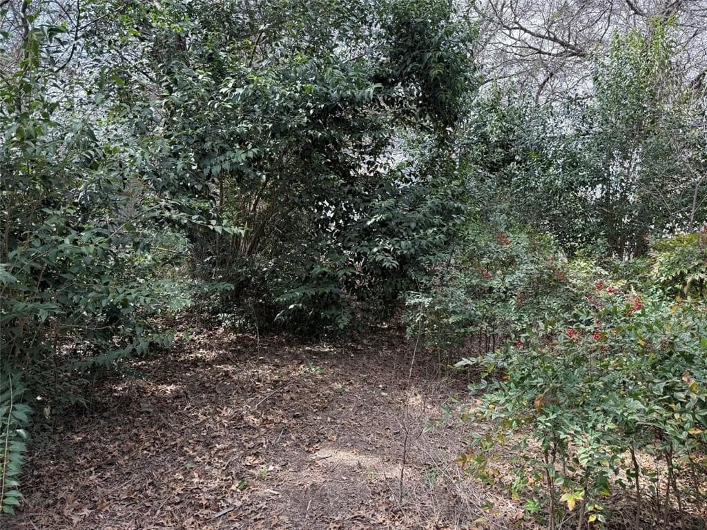 0.14 acres in Hood County gallery image 4