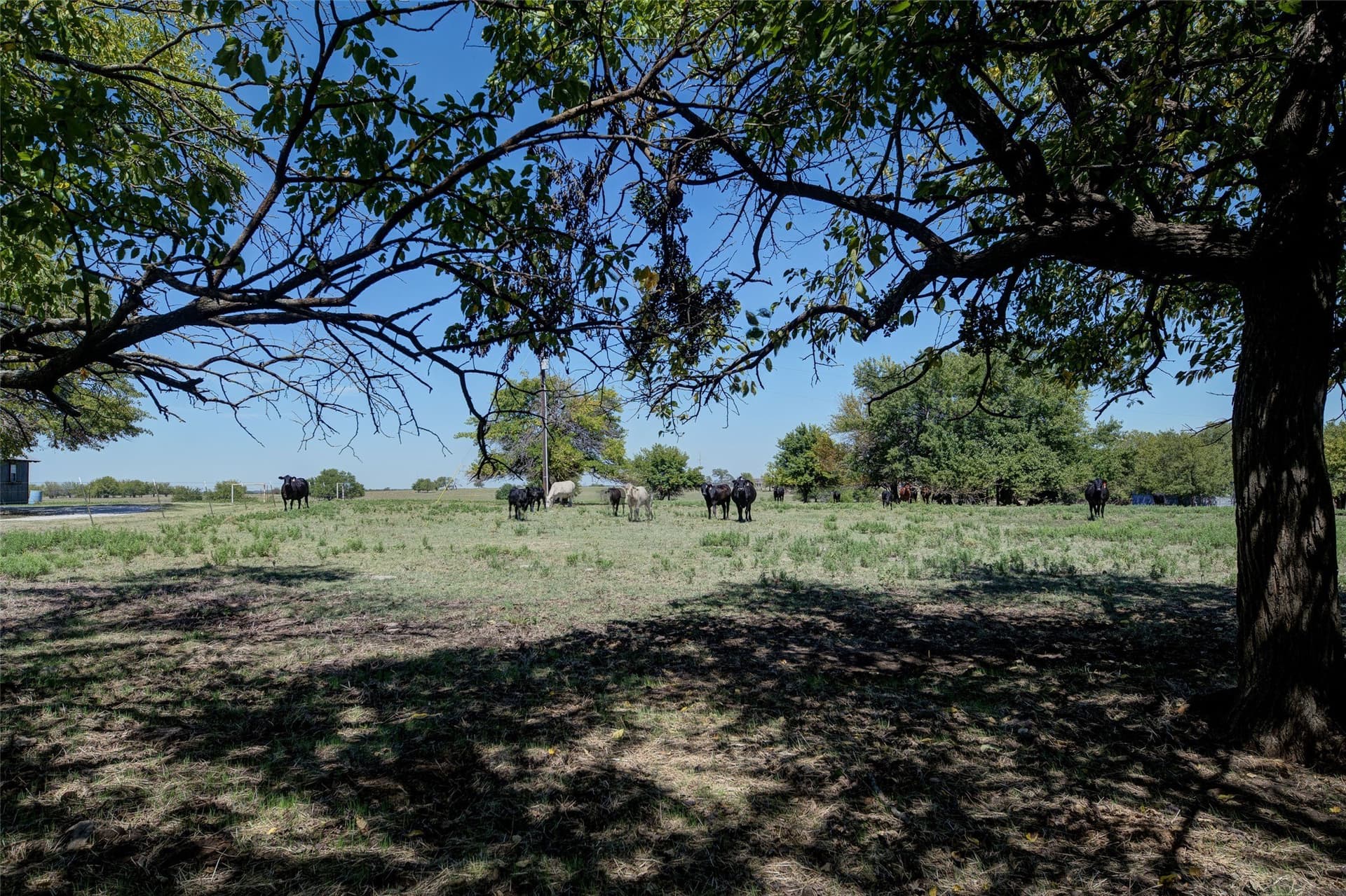74.07 acres in Cooke County - photo 36