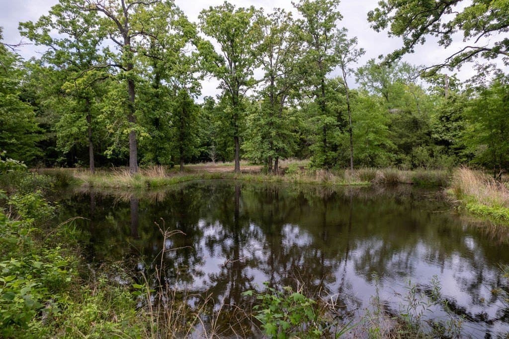 0.75 acres in ANDERSON County - photo 7
