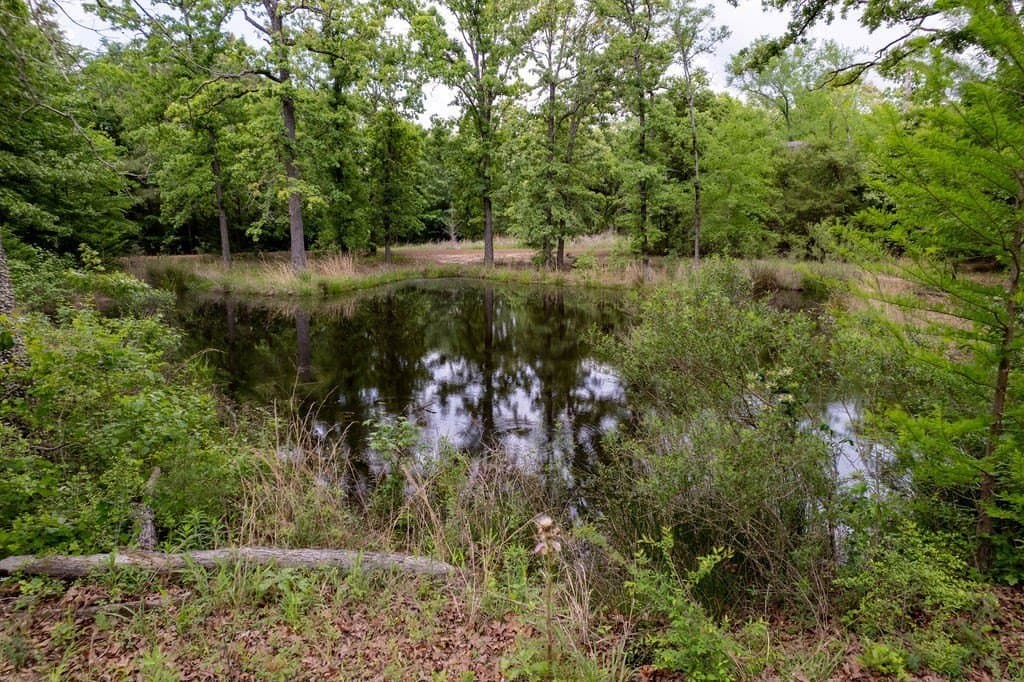 0.75 acres in ANDERSON County - photo 6