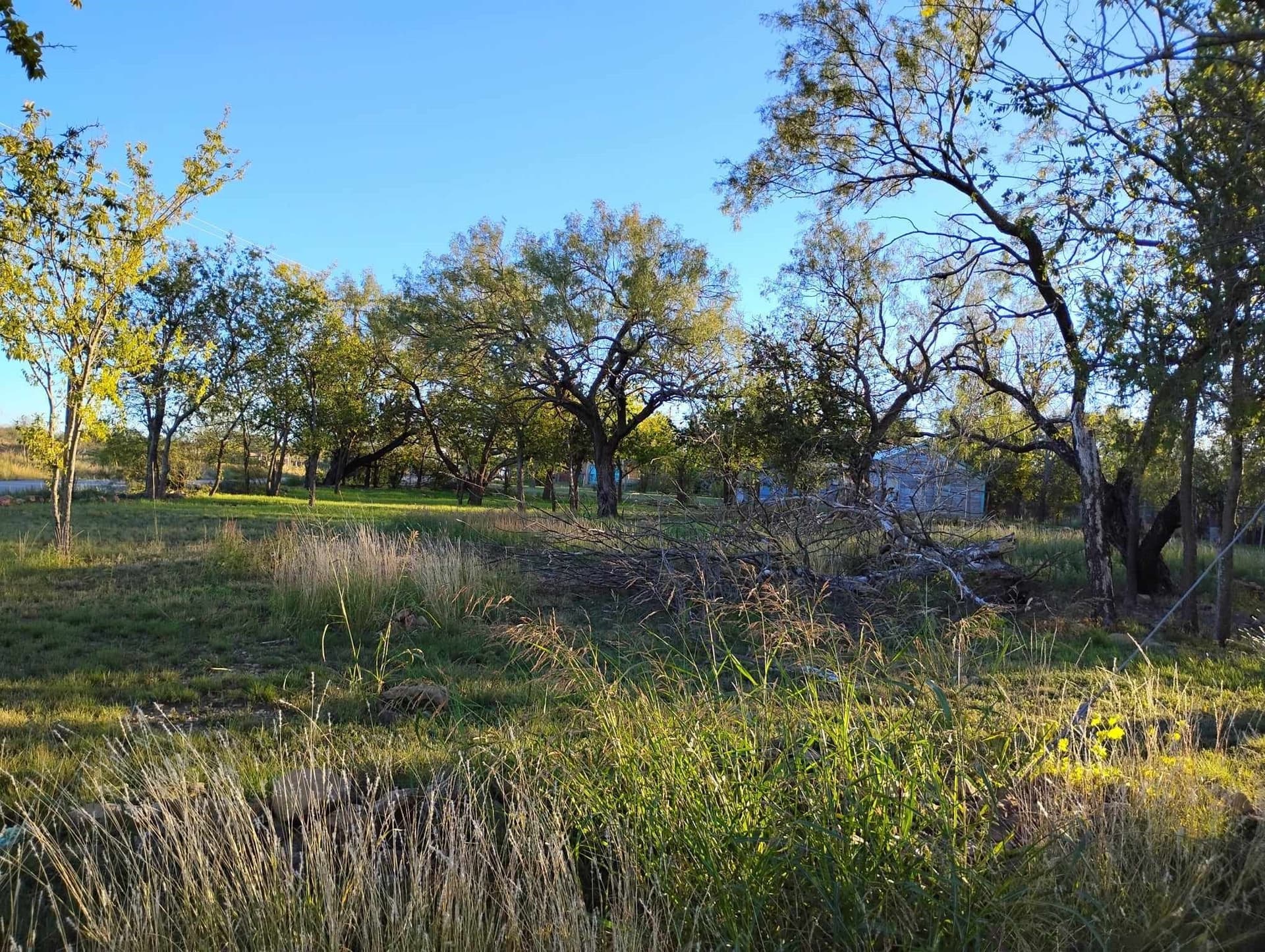 0.54 acres in Coleman County - photo 4