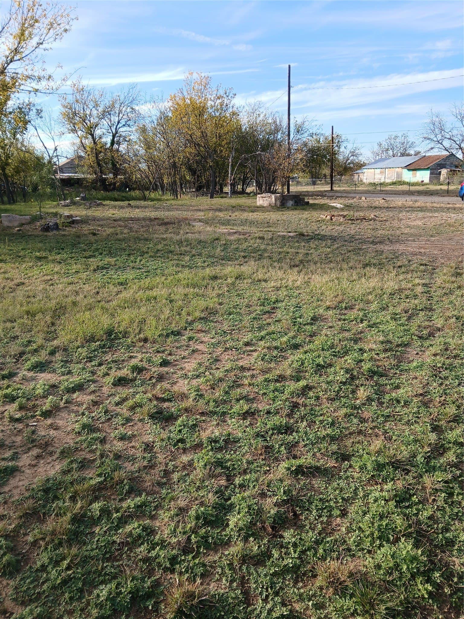 0.54 acres in Coleman County - photo 2
