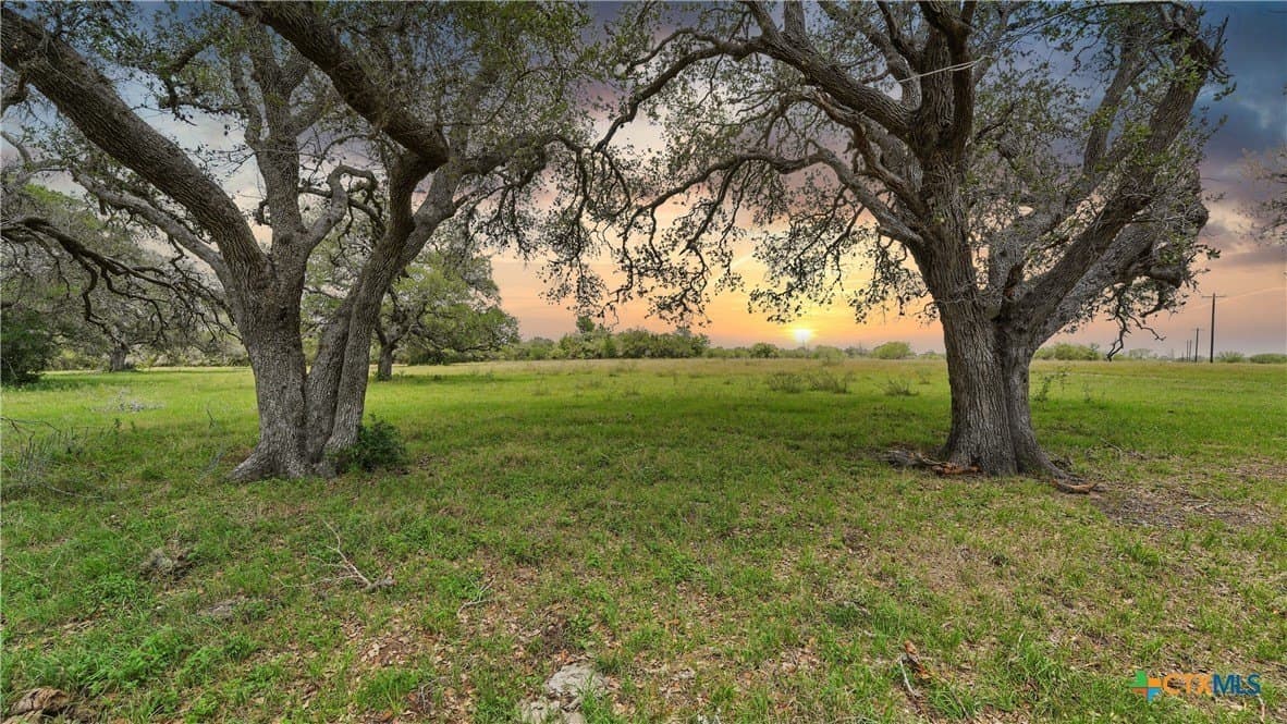 17.97 acres in Lavaca County gallery image 2