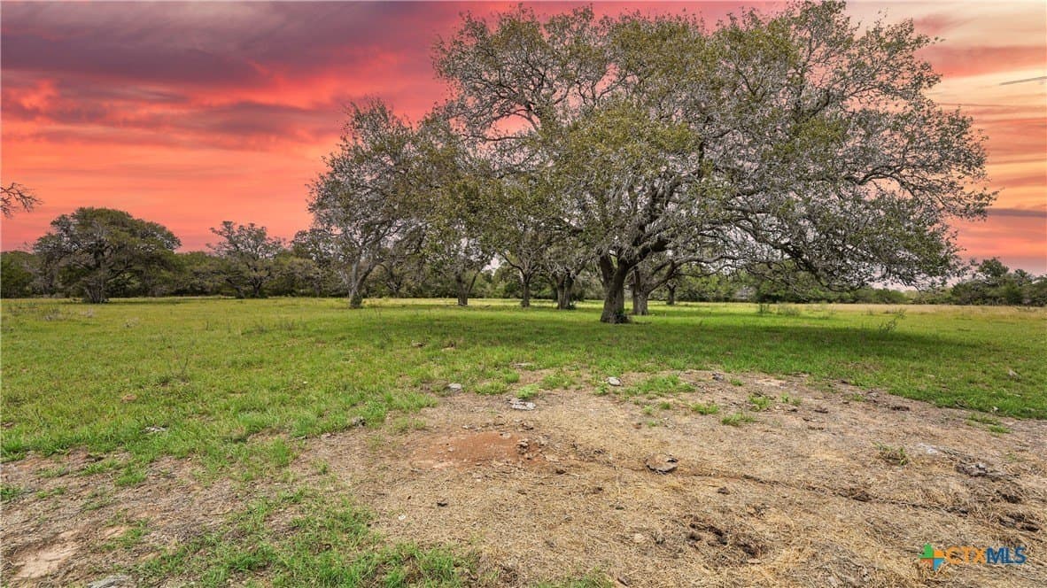 17.97 acres in Lavaca County gallery image 4