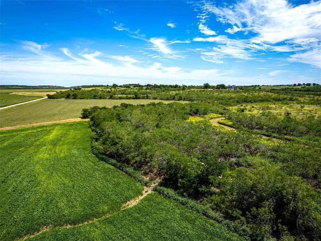 36.5 acres in McLennan County gallery image 2