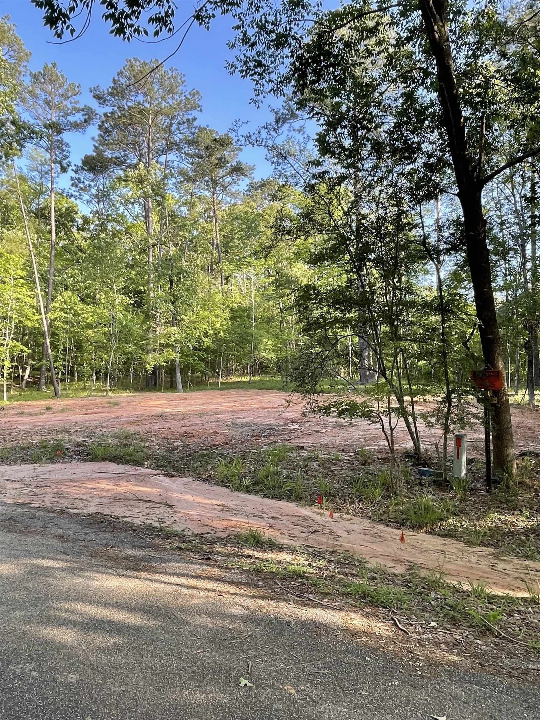 0.67 acres in Texas County gallery image 3