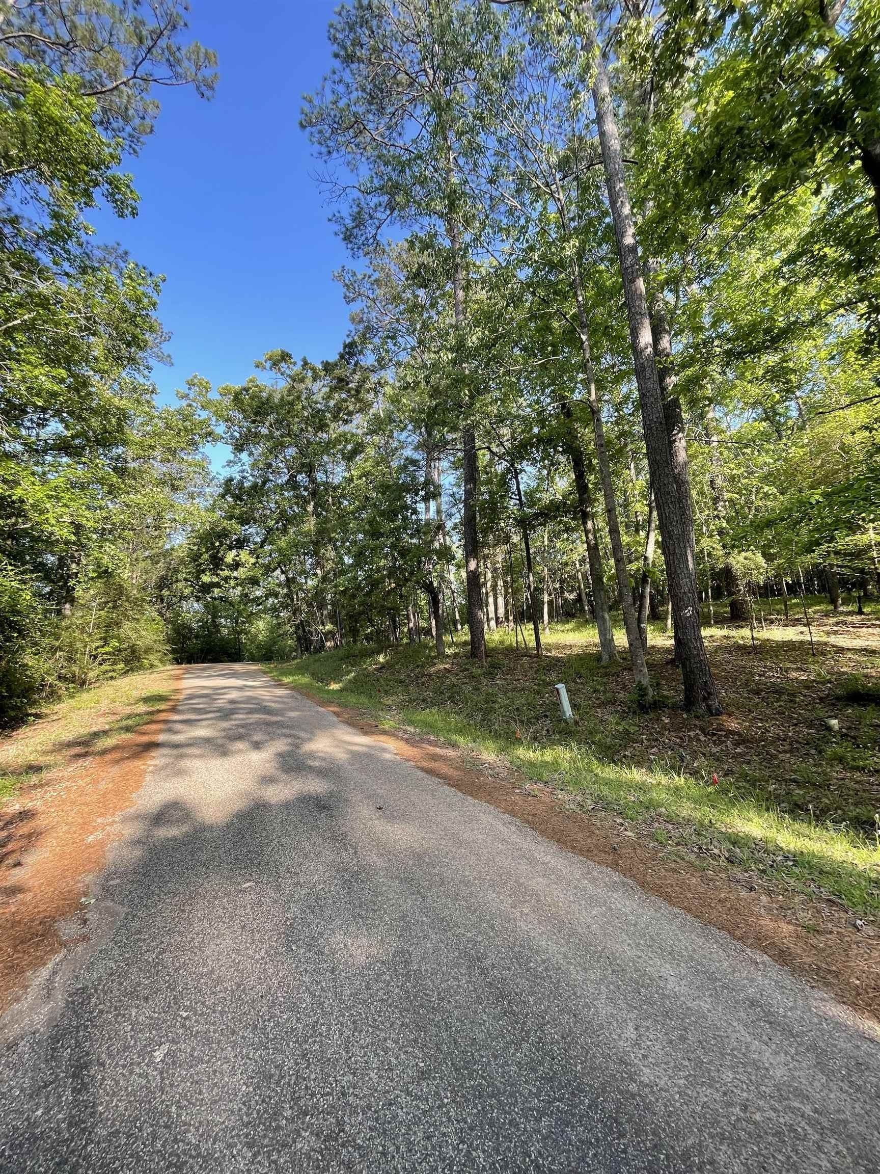0.67 acres in Texas County featured view