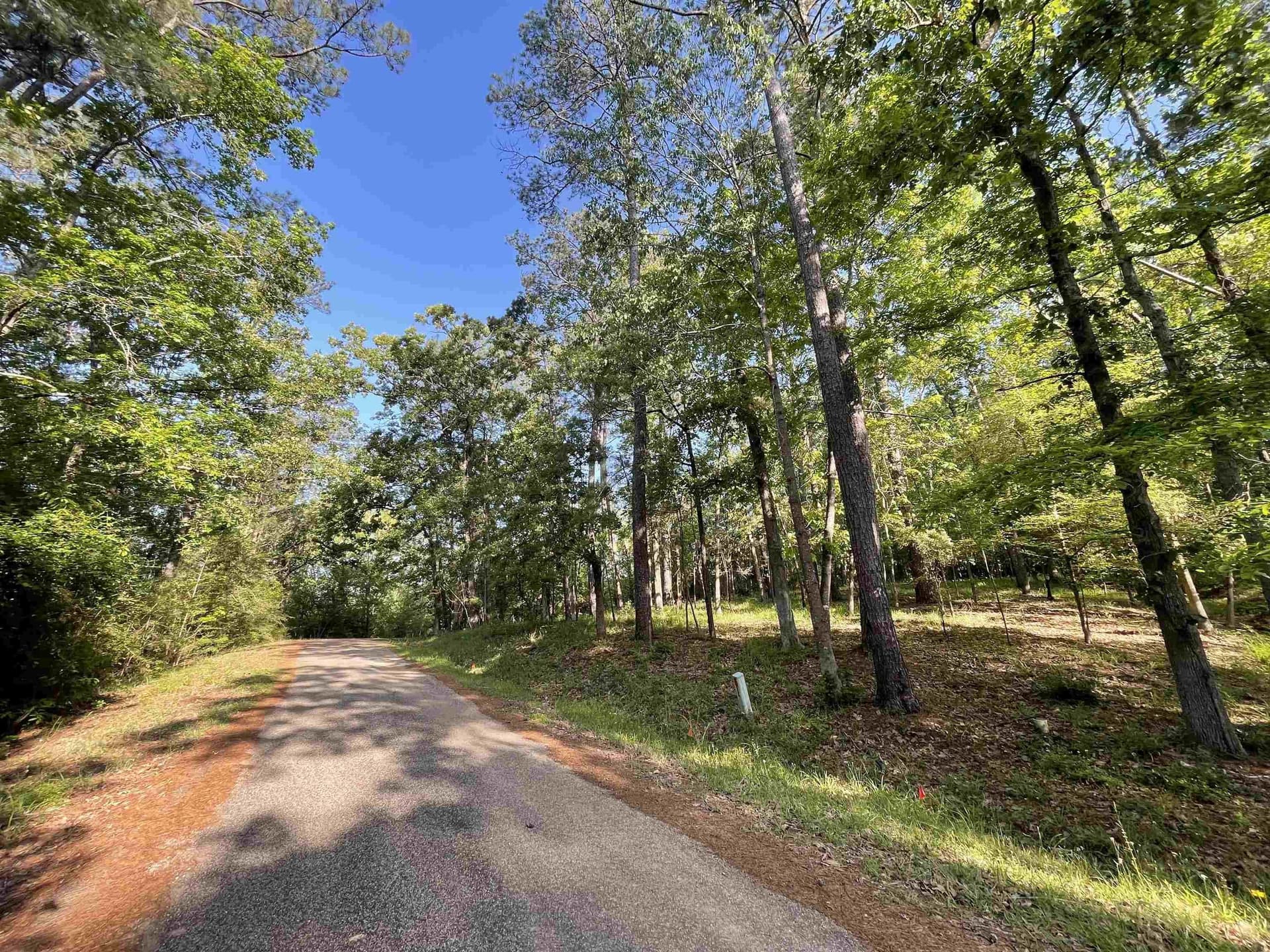 0.67 acres in Texas County gallery image 2