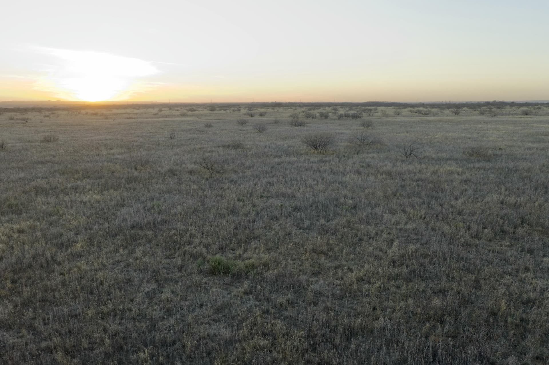 1,033 acres in Motley County gallery image 4