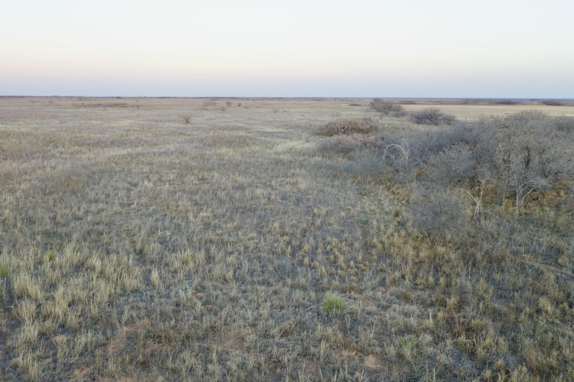 1,033 acres in Motley County gallery image 3