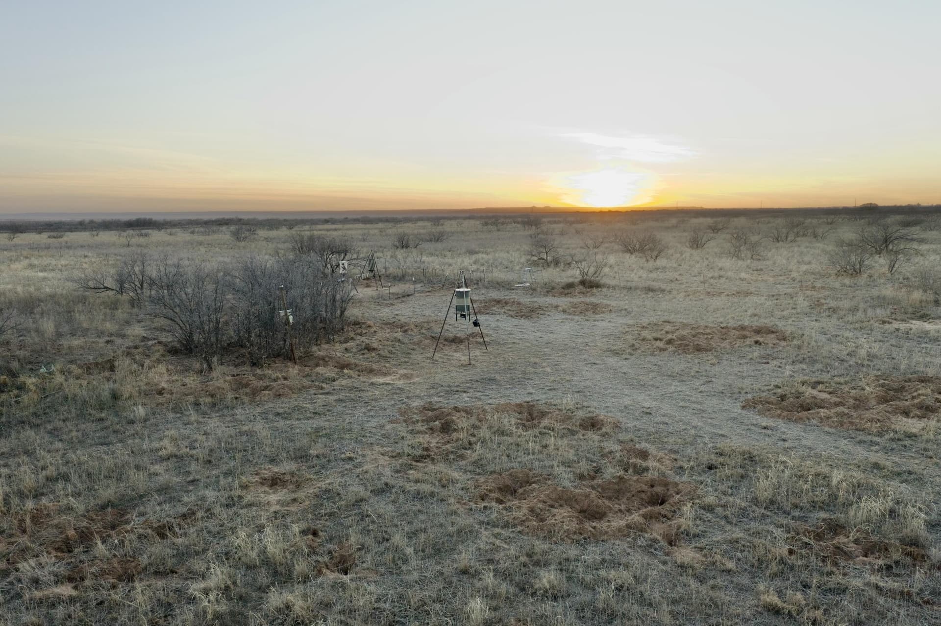 1,033 acres in Motley County featured view