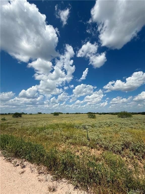 10 acres in Brooks County - photo 5