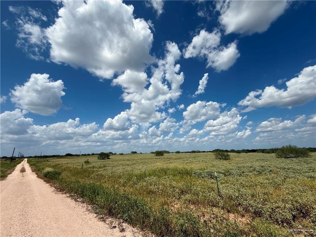 10 acres in Brooks County - photo 4