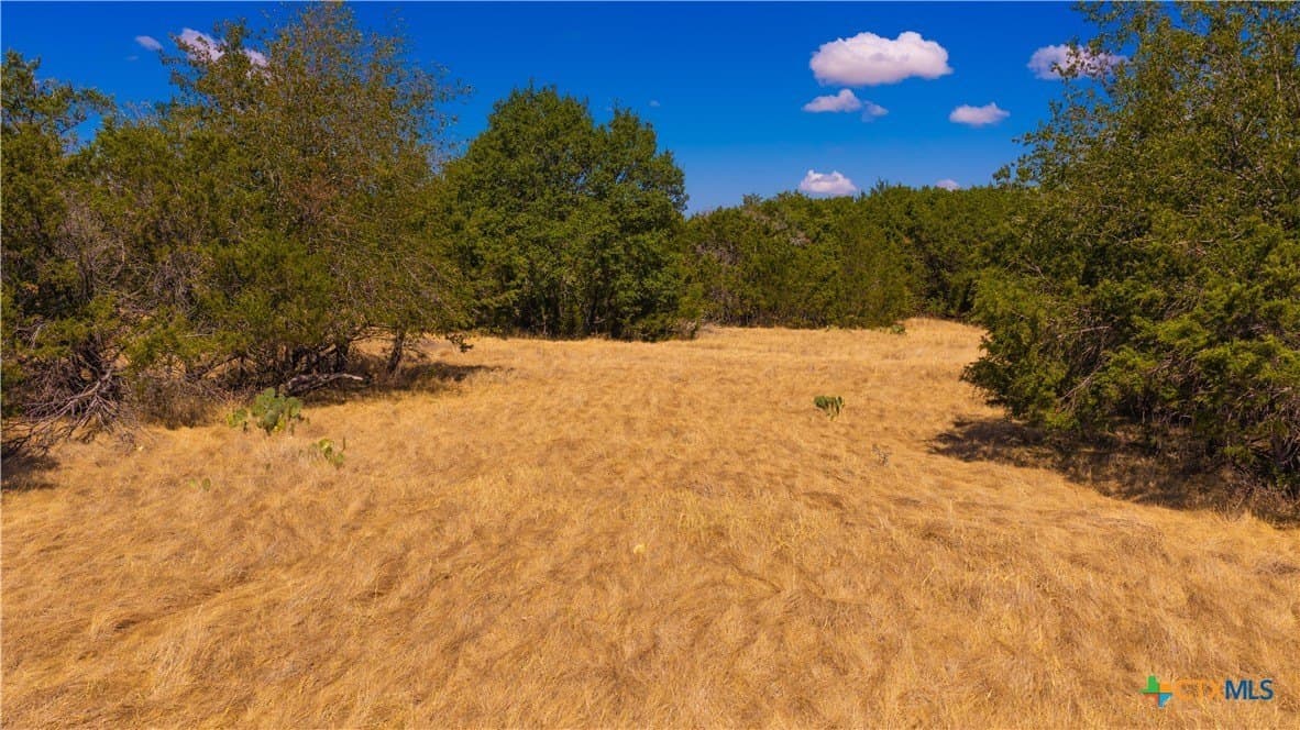 22.04 acres in Lampasas County - photo 6