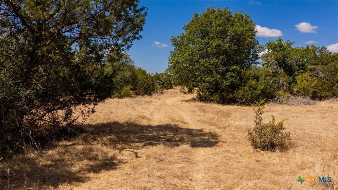 22.04 acres in Lampasas County - photo 8