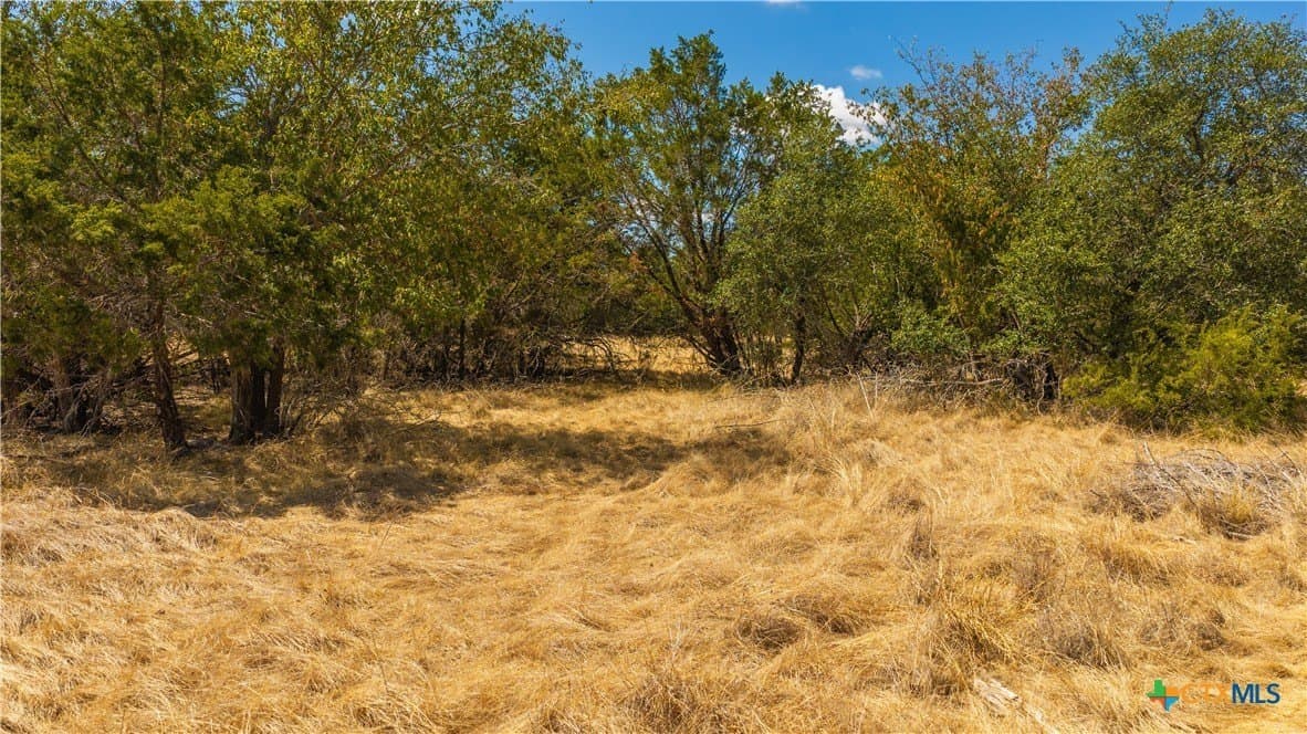 22.04 acres in Lampasas County - photo 7